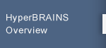 HyperBRAINS Overview